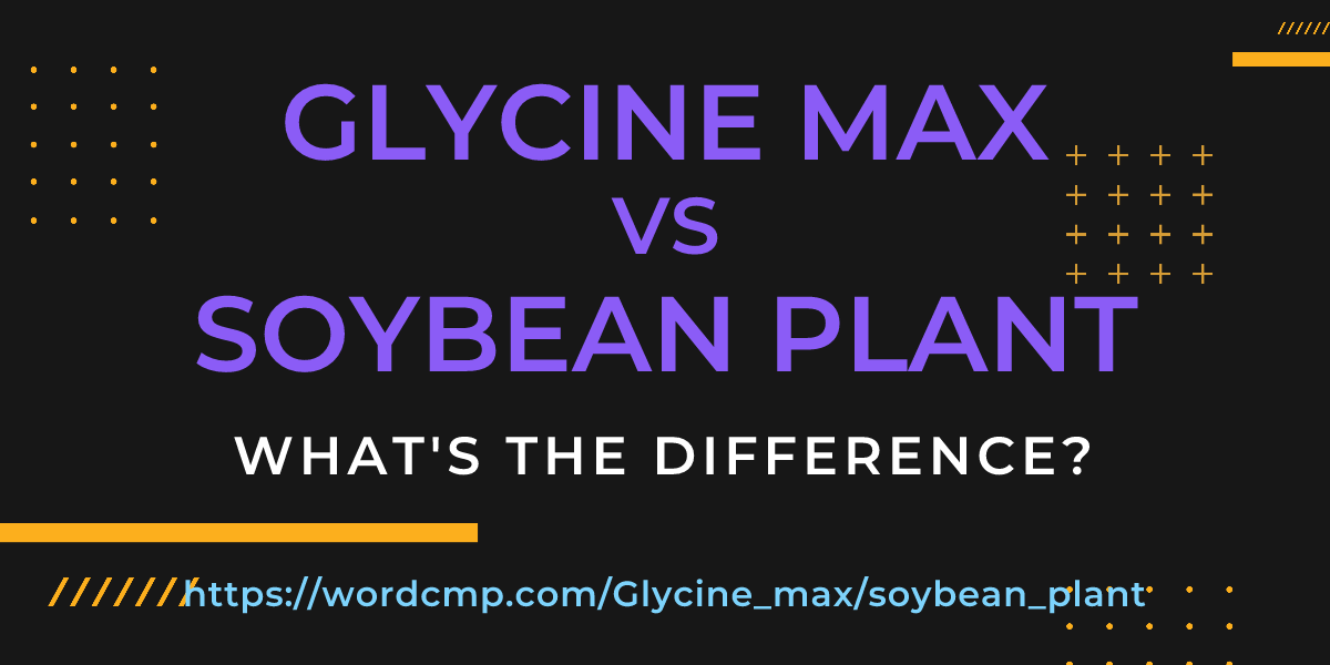 Difference between Glycine max and soybean plant