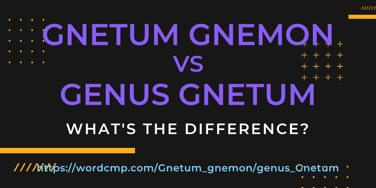 Difference between Gnetum gnemon and genus Gnetum