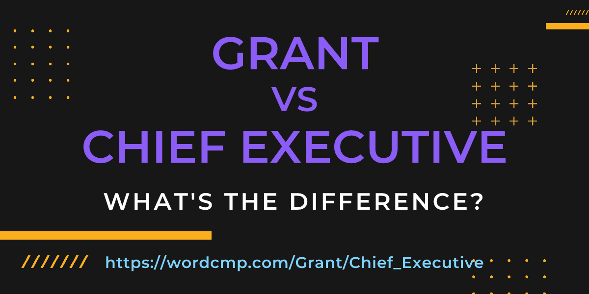 Difference between Grant and Chief Executive