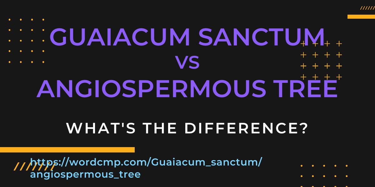 Difference between Guaiacum sanctum and angiospermous tree
