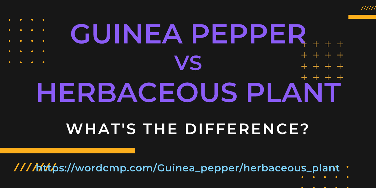 Difference between Guinea pepper and herbaceous plant