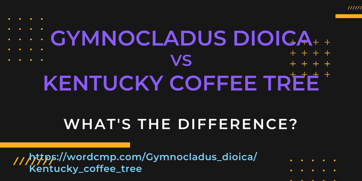 Difference between Gymnocladus dioica and Kentucky coffee tree