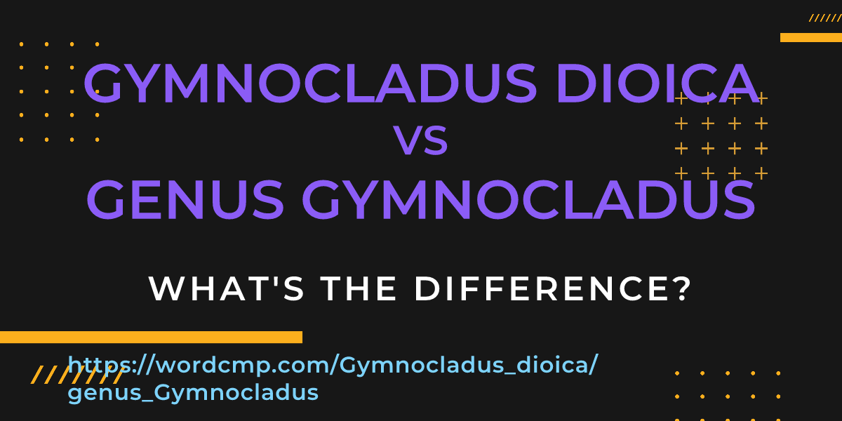 Difference between Gymnocladus dioica and genus Gymnocladus