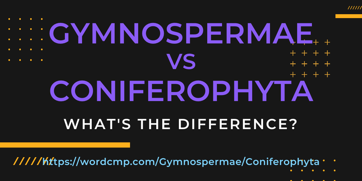 Difference between Gymnospermae and Coniferophyta