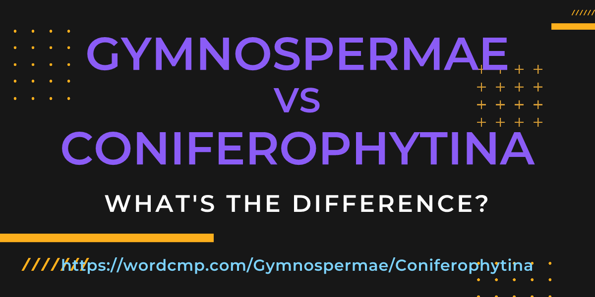 Difference between Gymnospermae and Coniferophytina