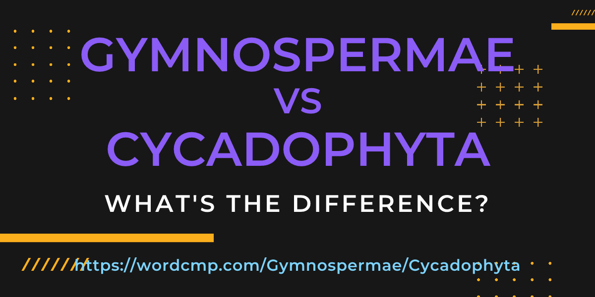 Difference between Gymnospermae and Cycadophyta
