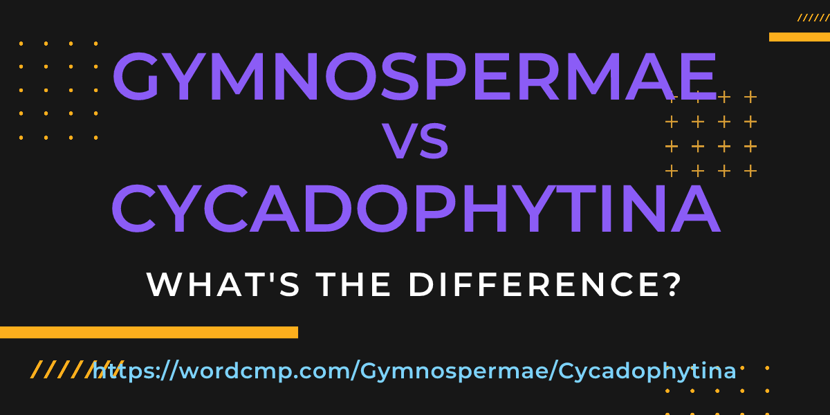 Difference between Gymnospermae and Cycadophytina