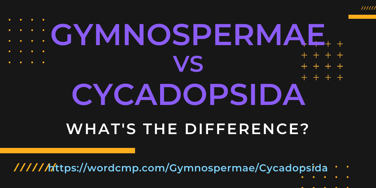 Difference between Gymnospermae and Cycadopsida