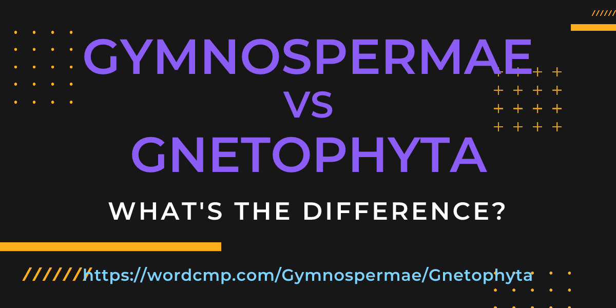 Difference between Gymnospermae and Gnetophyta