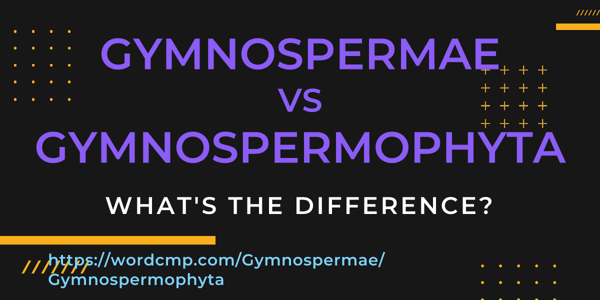 Difference between Gymnospermae and Gymnospermophyta