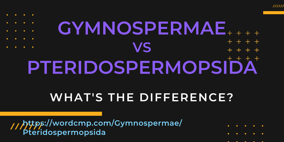Difference between Gymnospermae and Pteridospermopsida