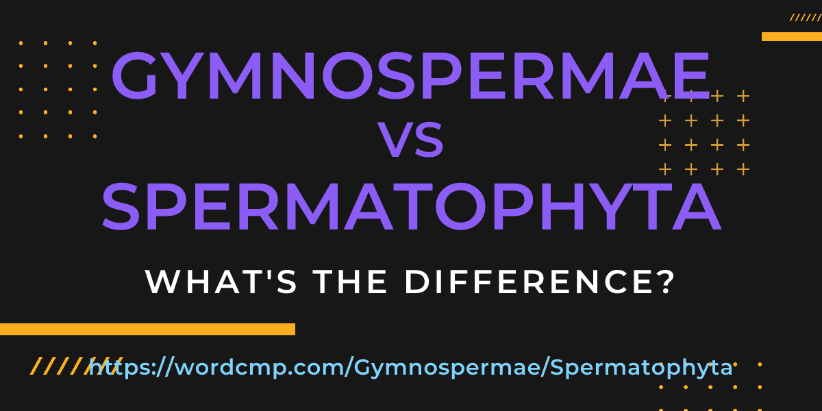 Difference between Gymnospermae and Spermatophyta