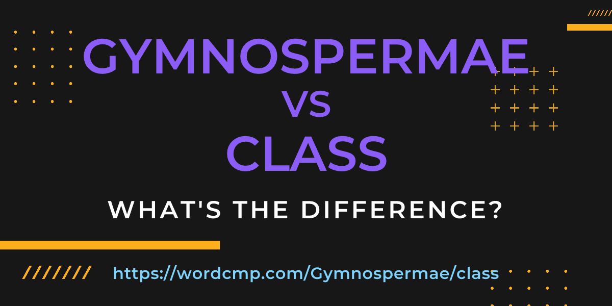 Difference between Gymnospermae and class