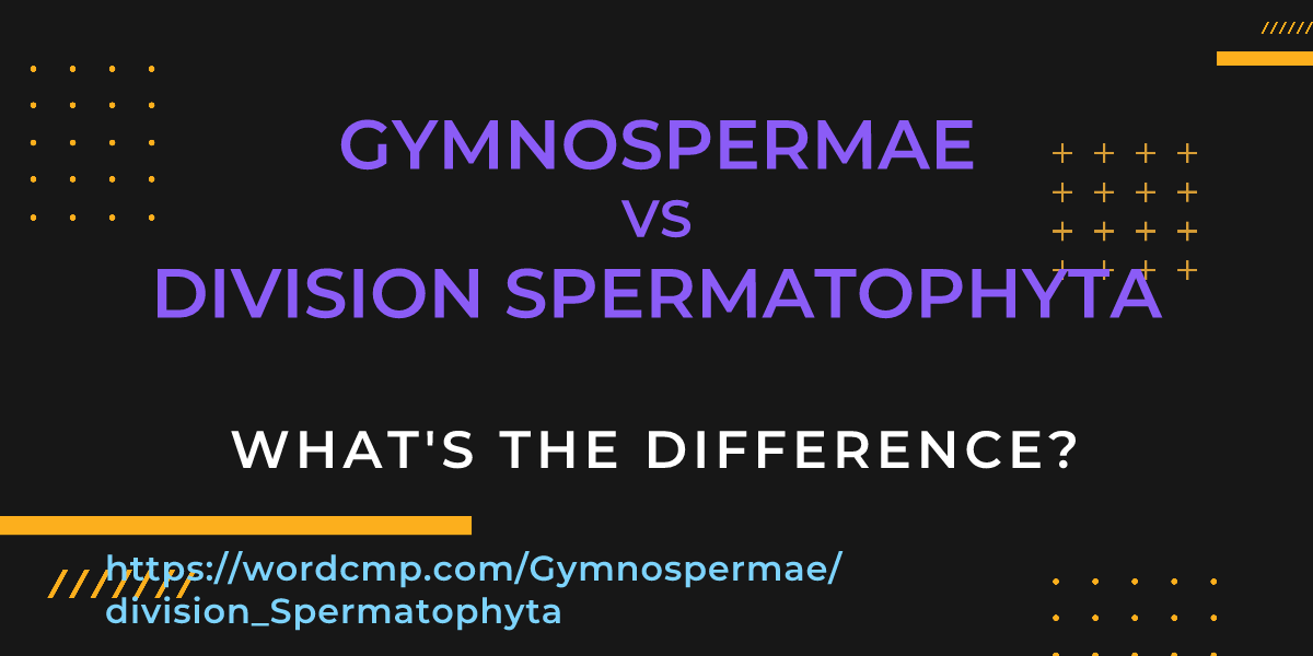 Difference between Gymnospermae and division Spermatophyta