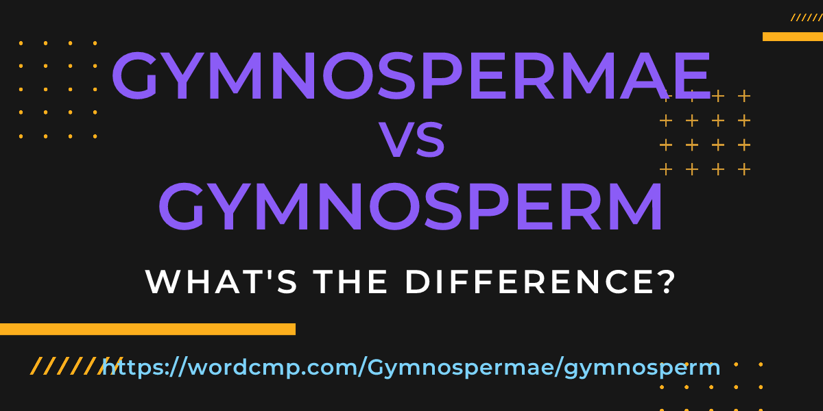 Difference between Gymnospermae and gymnosperm