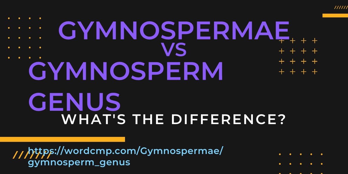 Difference between Gymnospermae and gymnosperm genus