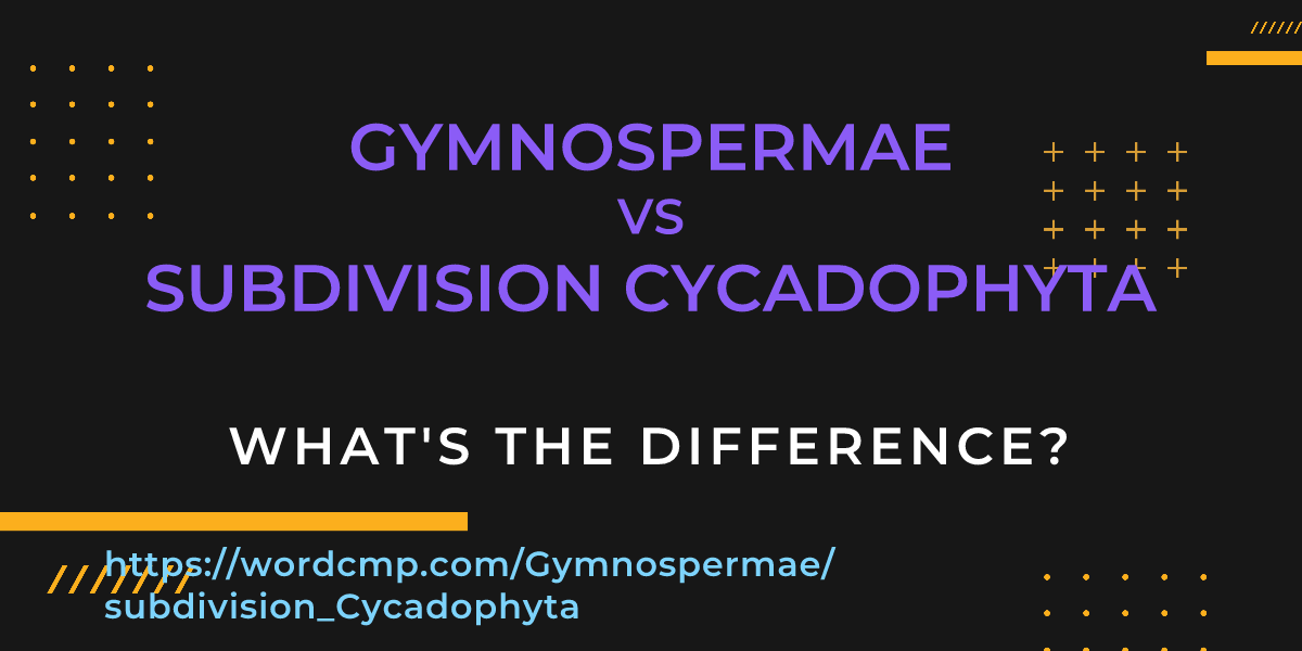 Difference between Gymnospermae and subdivision Cycadophyta