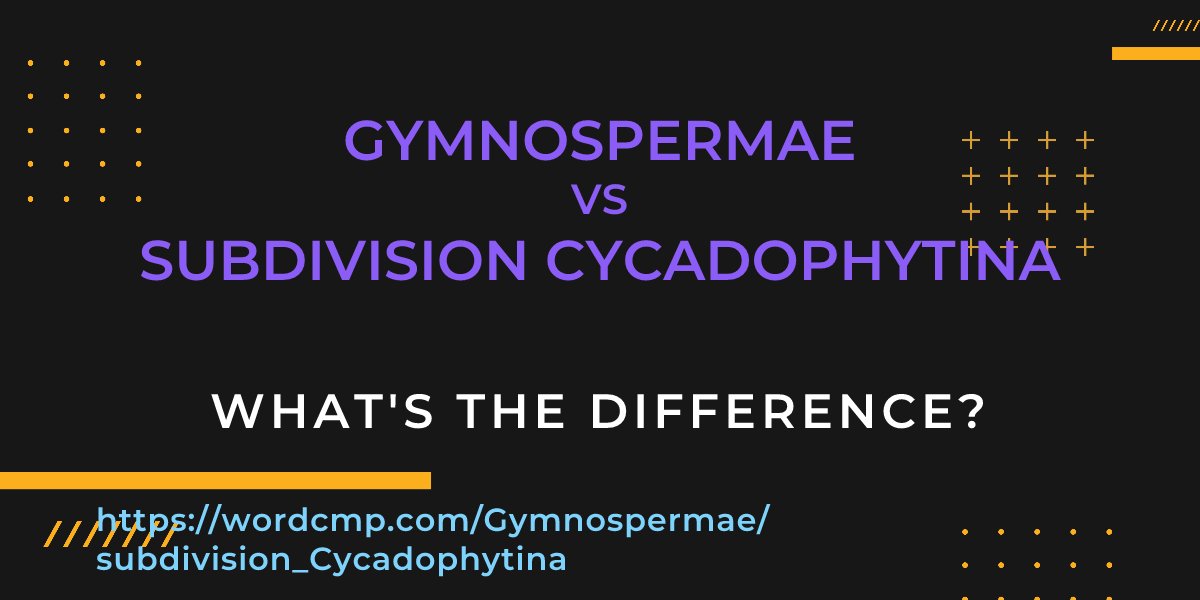 Difference between Gymnospermae and subdivision Cycadophytina