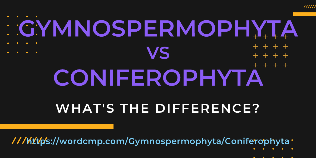 Difference between Gymnospermophyta and Coniferophyta