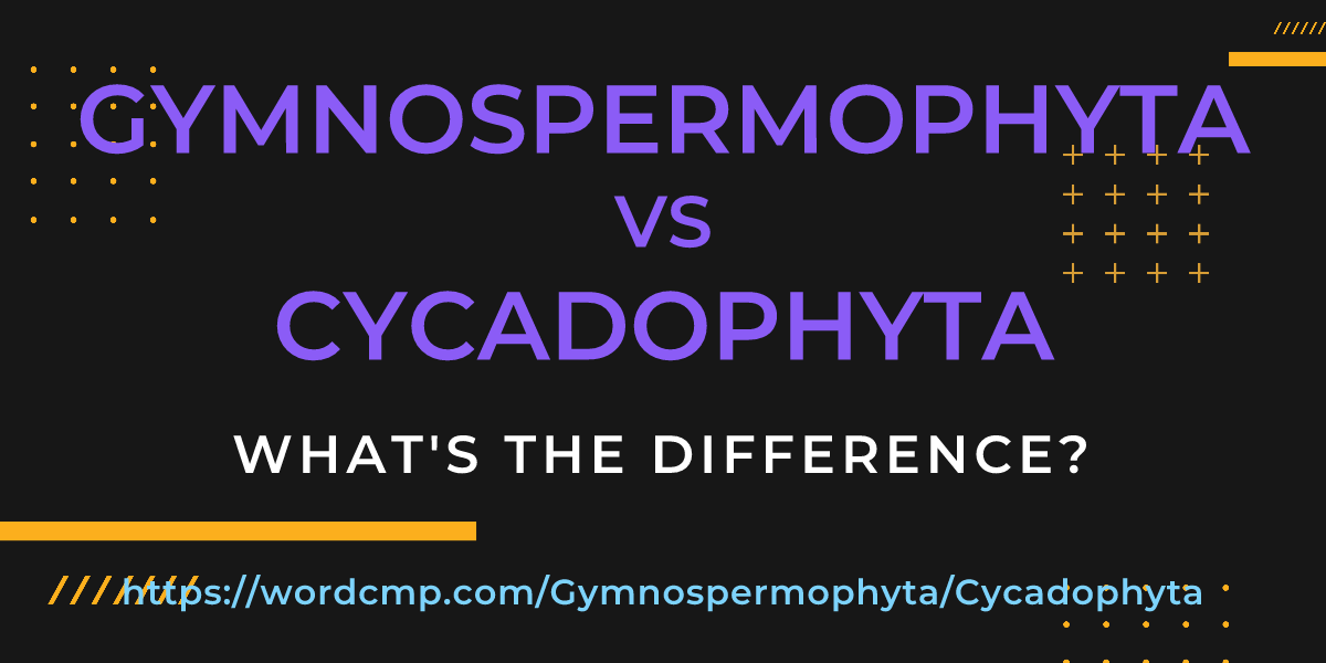 Difference between Gymnospermophyta and Cycadophyta