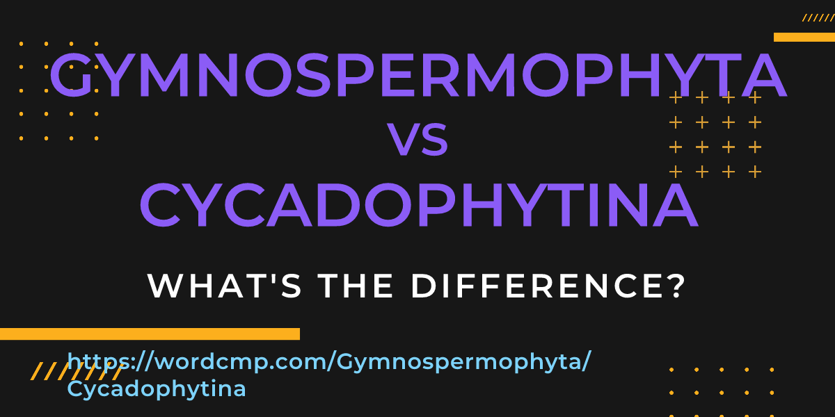 Difference between Gymnospermophyta and Cycadophytina