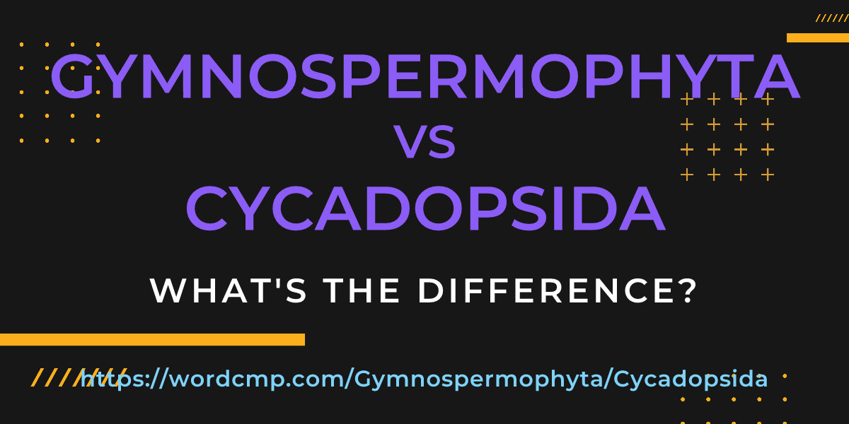 Difference between Gymnospermophyta and Cycadopsida