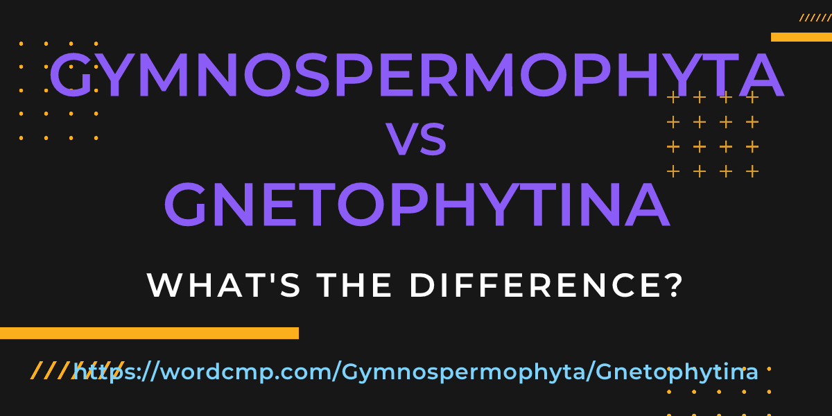 Difference between Gymnospermophyta and Gnetophytina