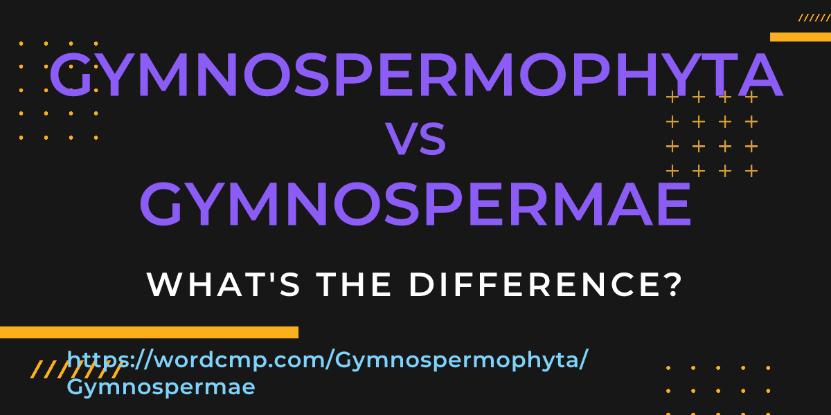 Difference between Gymnospermophyta and Gymnospermae