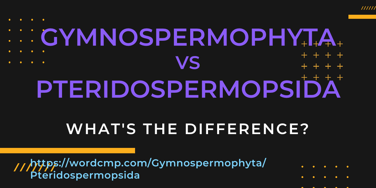 Difference between Gymnospermophyta and Pteridospermopsida