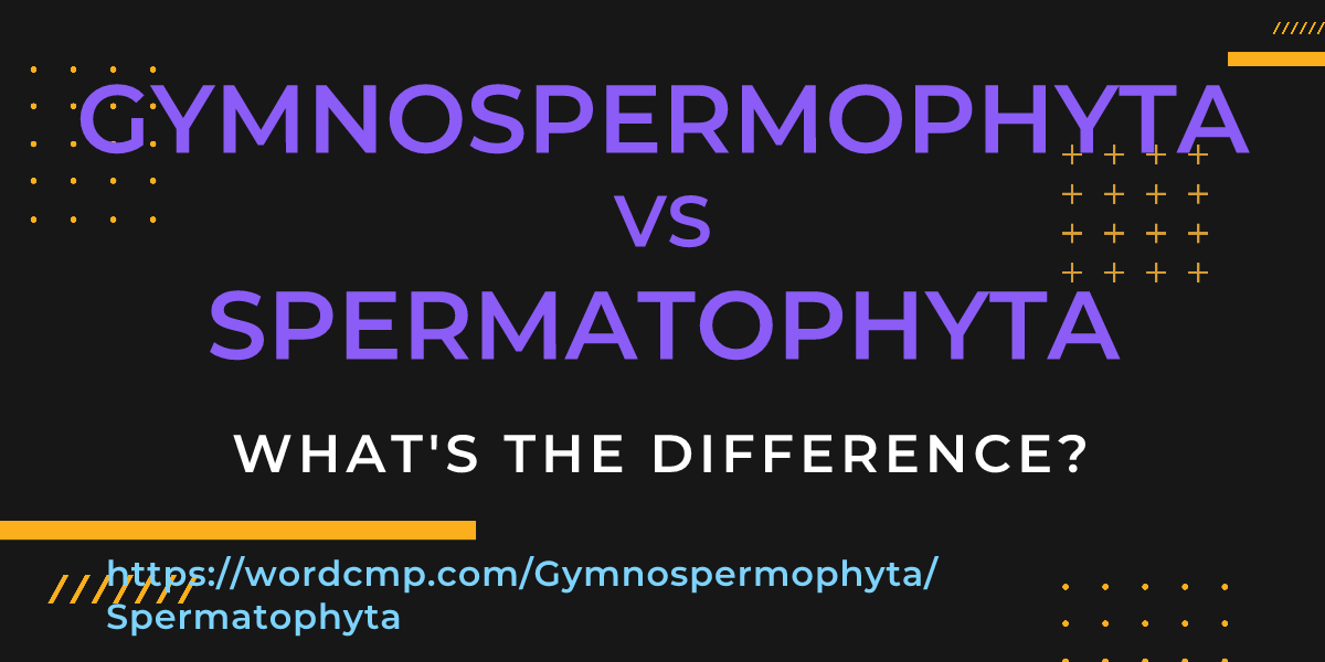 Difference between Gymnospermophyta and Spermatophyta