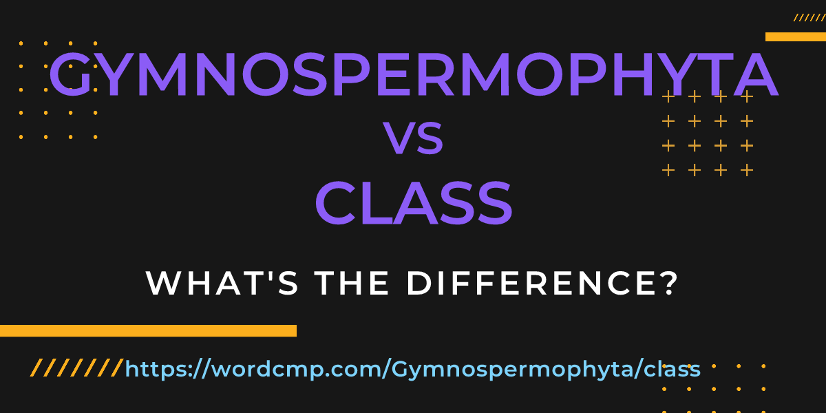 Difference between Gymnospermophyta and class