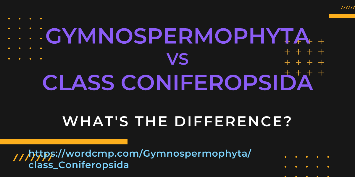 Difference between Gymnospermophyta and class Coniferopsida