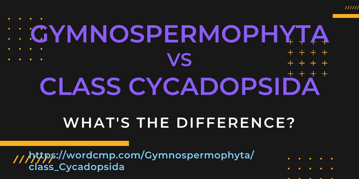 Difference between Gymnospermophyta and class Cycadopsida