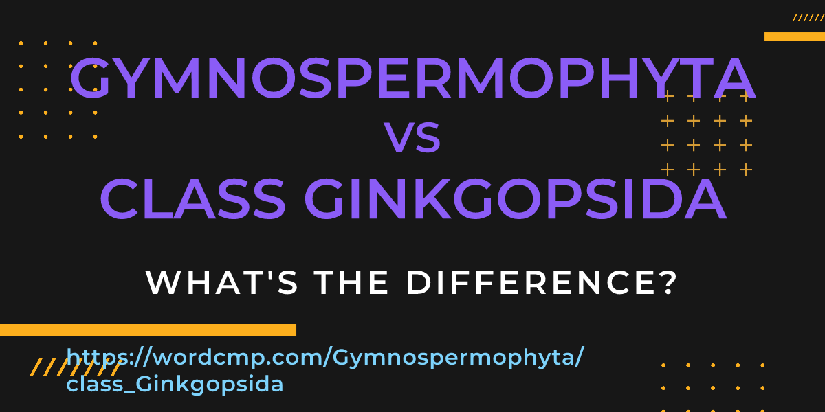 Difference between Gymnospermophyta and class Ginkgopsida