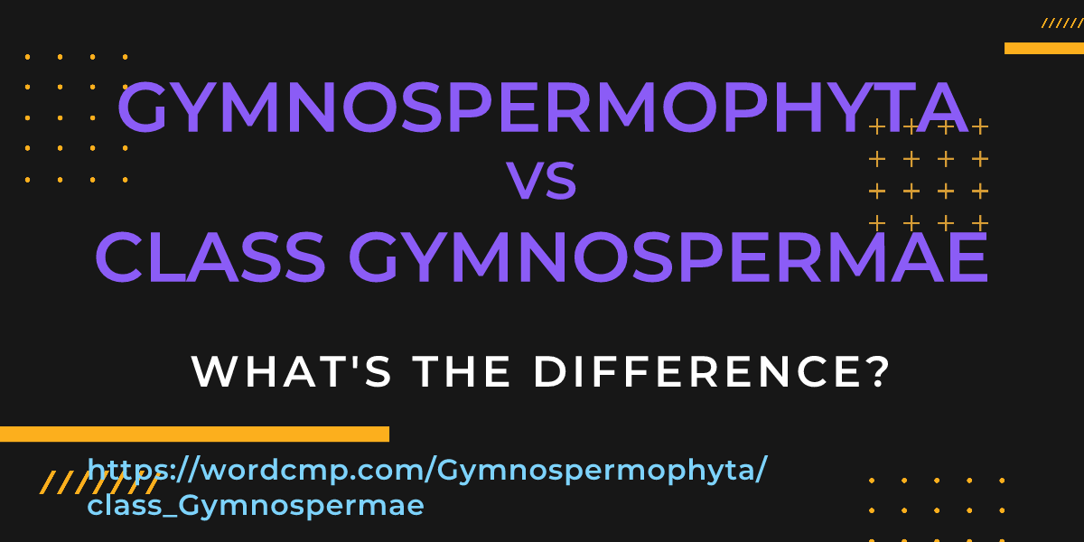 Difference between Gymnospermophyta and class Gymnospermae