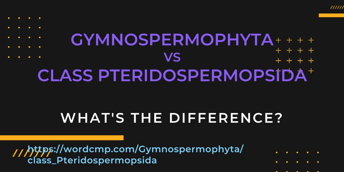 Difference between Gymnospermophyta and class Pteridospermopsida