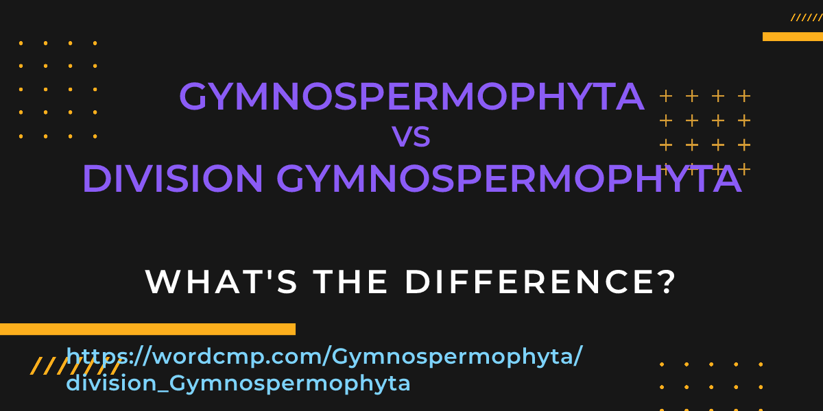 Difference between Gymnospermophyta and division Gymnospermophyta