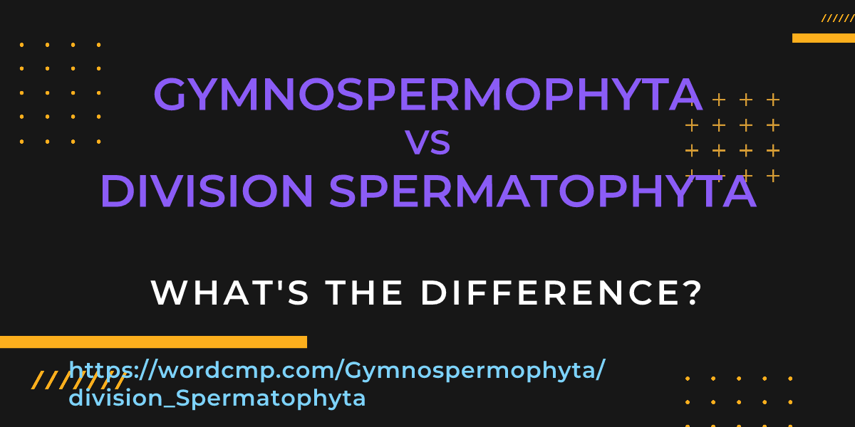 Difference between Gymnospermophyta and division Spermatophyta