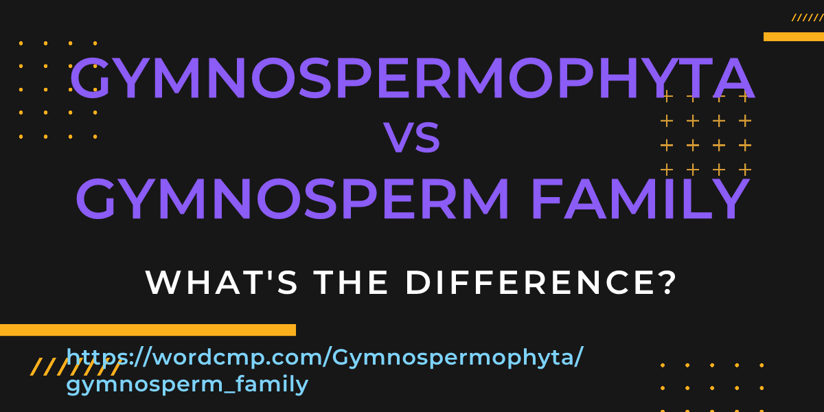 Difference between Gymnospermophyta and gymnosperm family