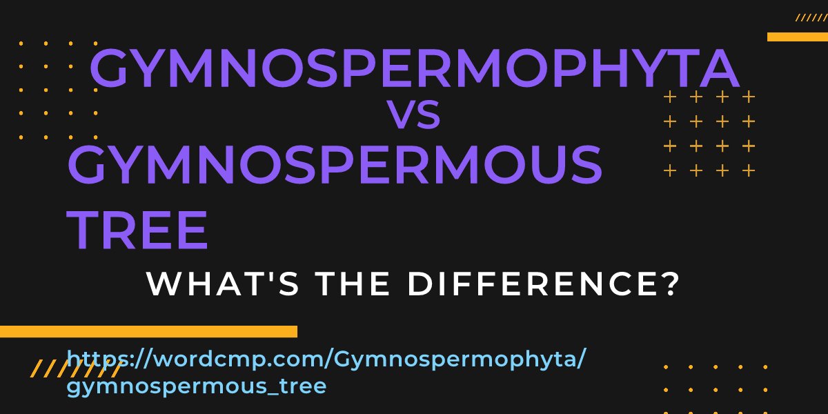 Difference between Gymnospermophyta and gymnospermous tree
