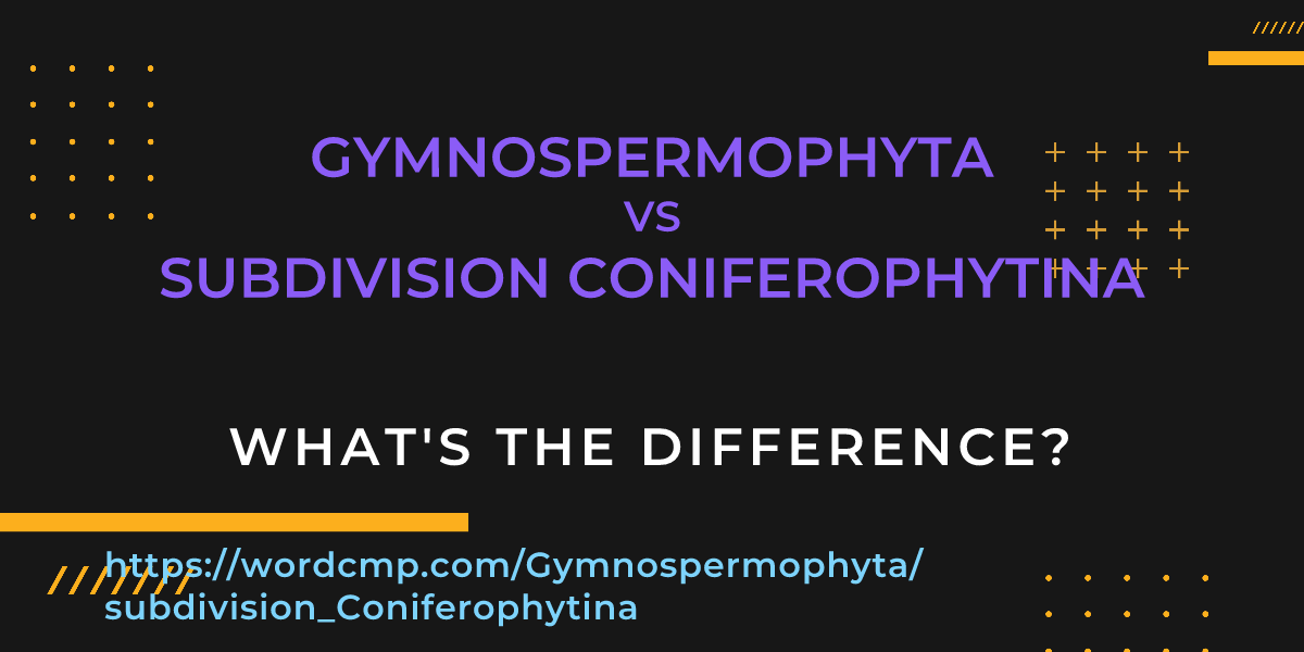 Difference between Gymnospermophyta and subdivision Coniferophytina