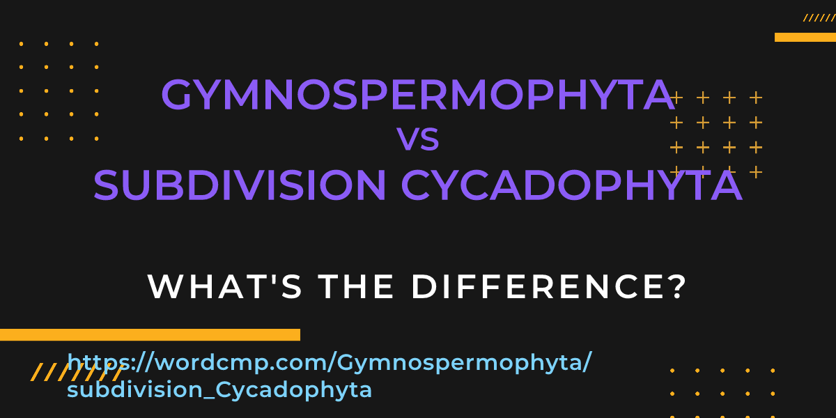 Difference between Gymnospermophyta and subdivision Cycadophyta