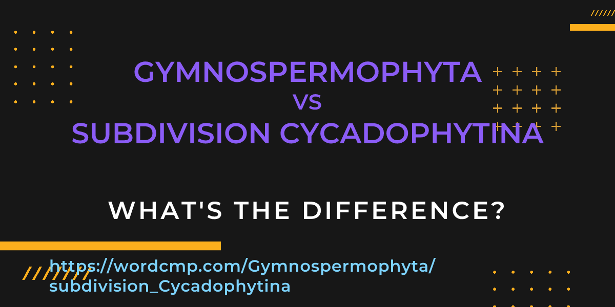 Difference between Gymnospermophyta and subdivision Cycadophytina