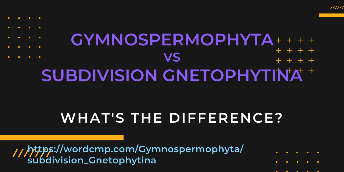 Difference between Gymnospermophyta and subdivision Gnetophytina
