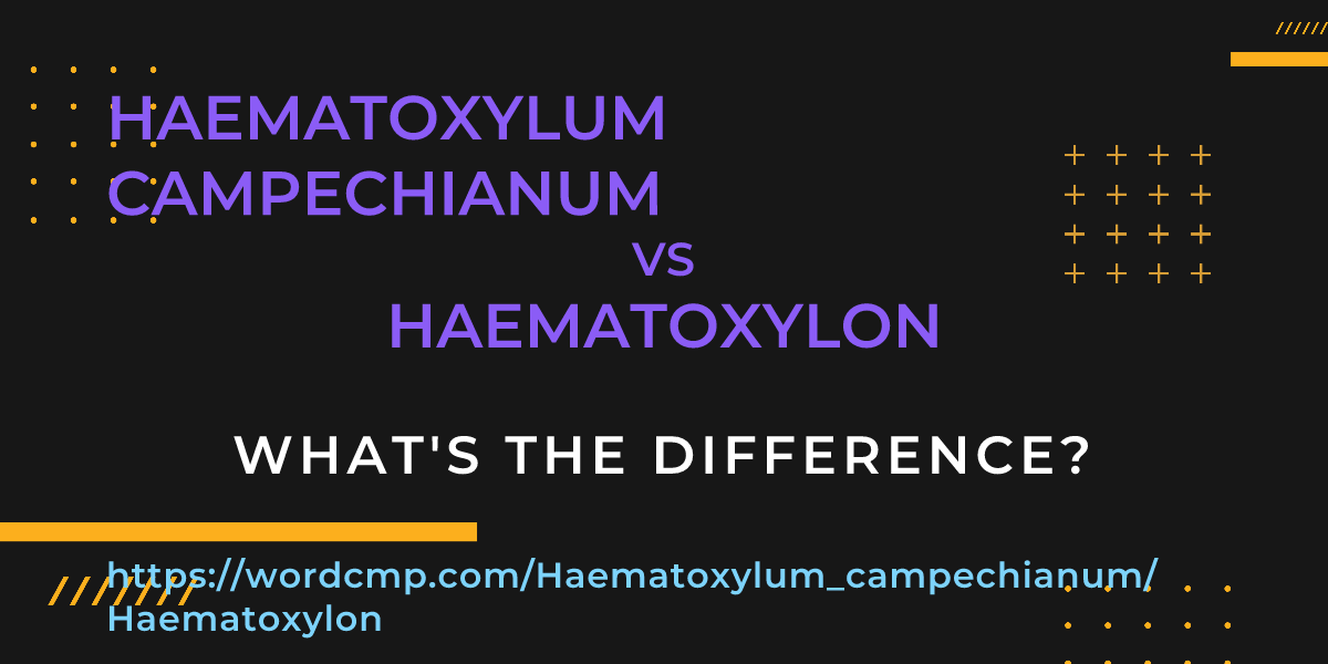 Difference between Haematoxylum campechianum and Haematoxylon