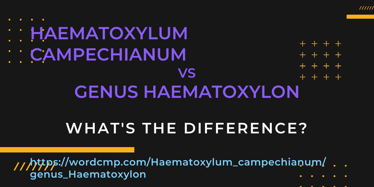 Difference between Haematoxylum campechianum and genus Haematoxylon