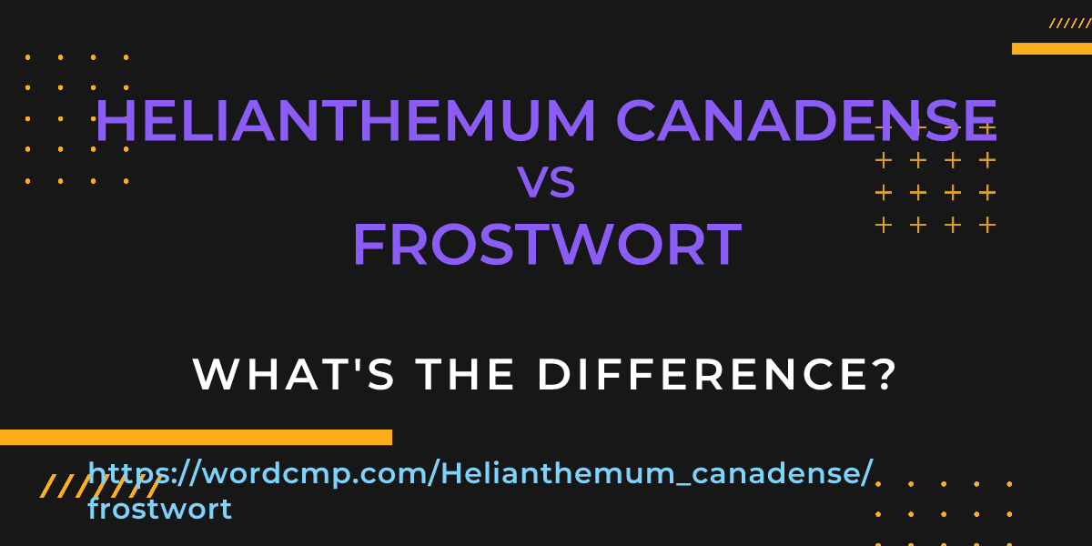 Difference between Helianthemum canadense and frostwort