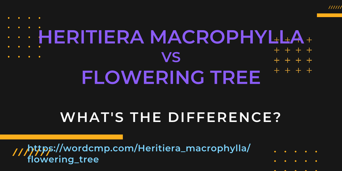 Difference between Heritiera macrophylla and flowering tree