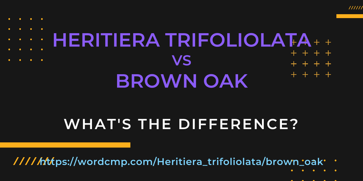 Difference between Heritiera trifoliolata and brown oak