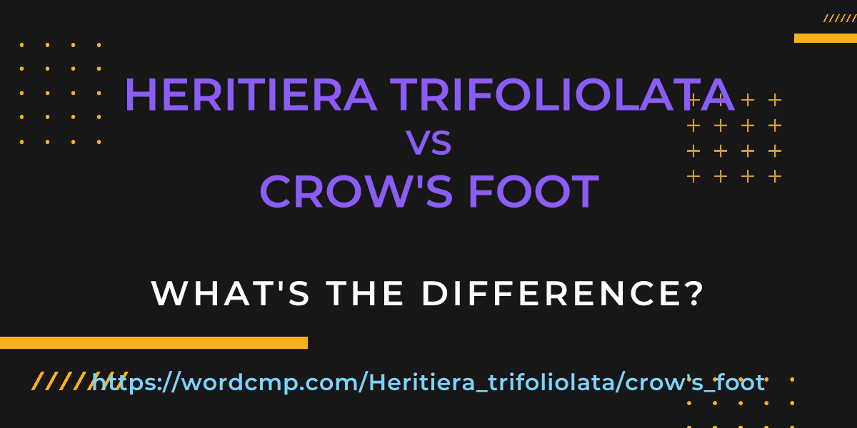 Difference between Heritiera trifoliolata and crow's foot